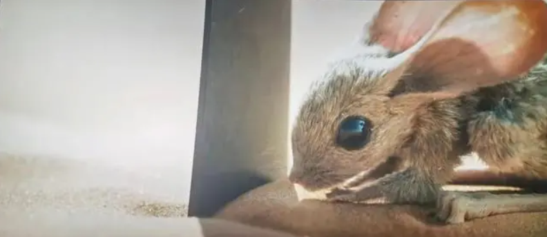 1711282280876956.png image.png