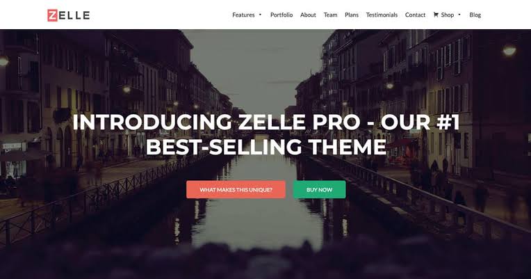 Zelle Pro - 免费的 woocommerce 主题