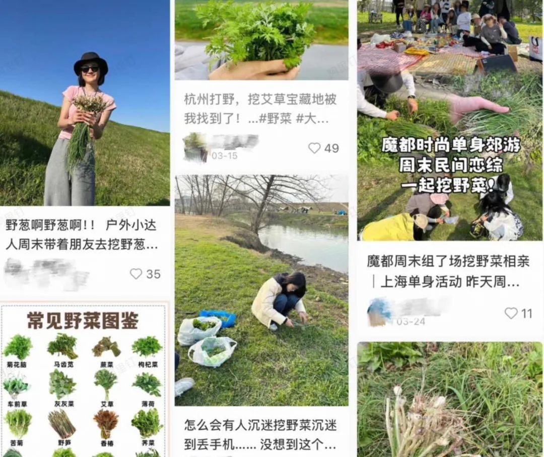 年轻人爱上“打野”:有人卖“神器”月入数万,有商家生意增长300%