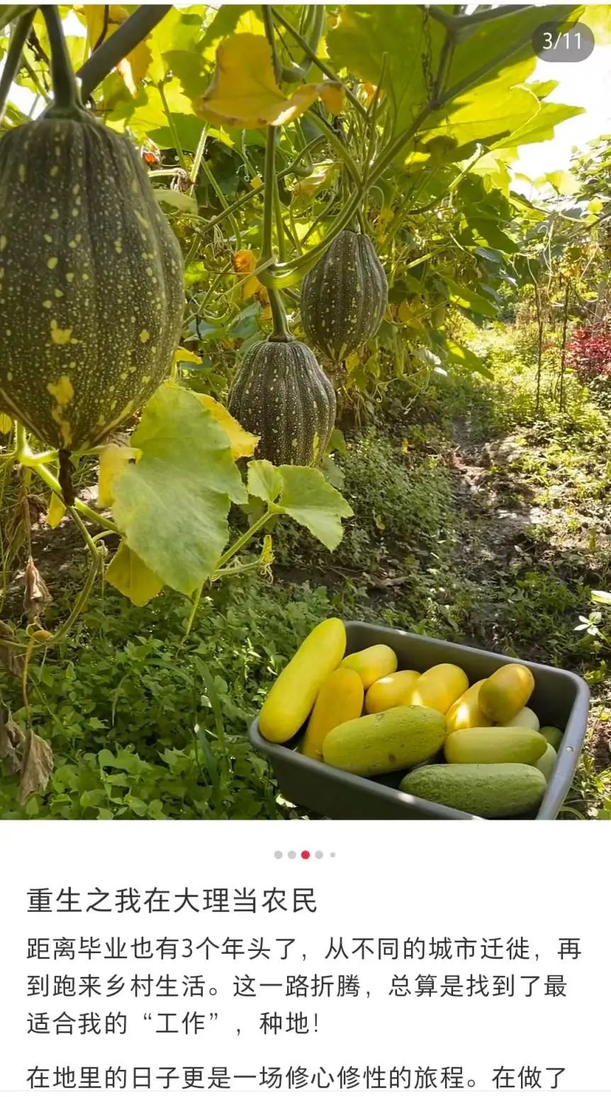 卷不动的年轻人,开始找个村子躺平了