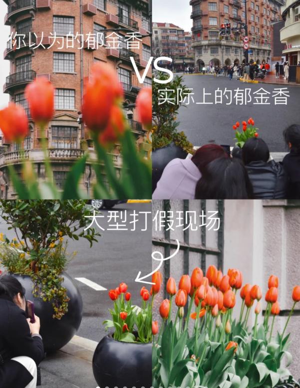 卷不动的年轻人,开始找个村子躺平了