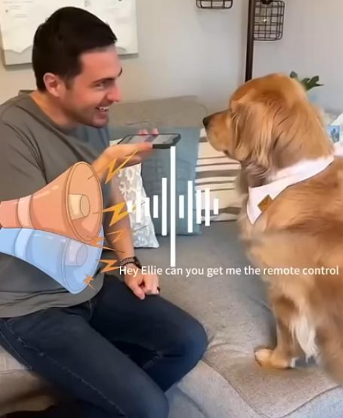 1745740252108102.png image.png